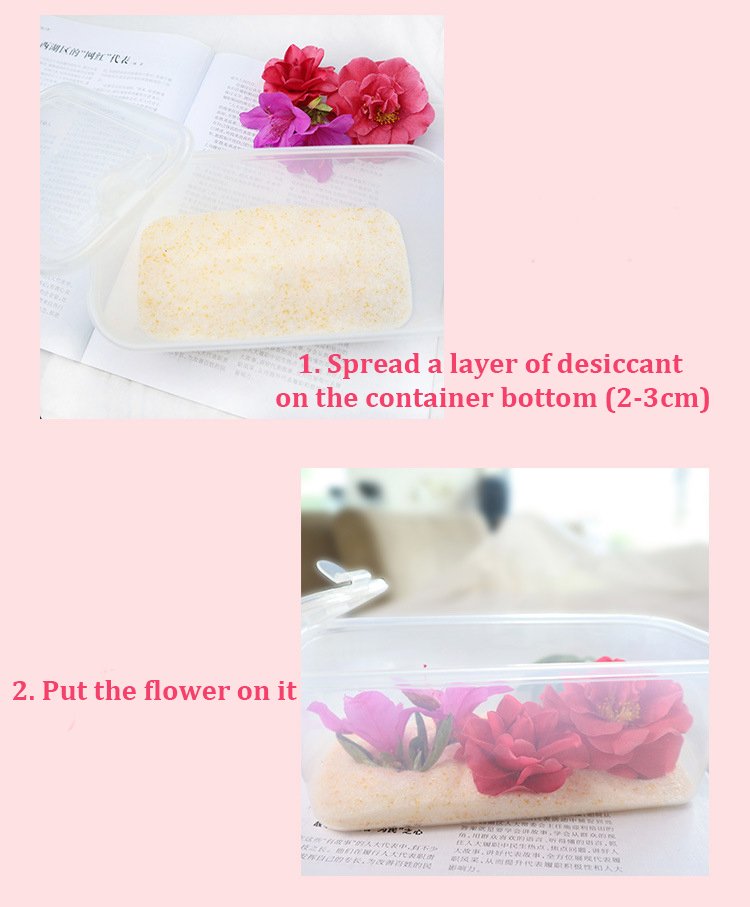 how to put flower on silica gel.jpg